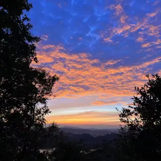 《赘婿而已竟横扫江湖》-资源截图