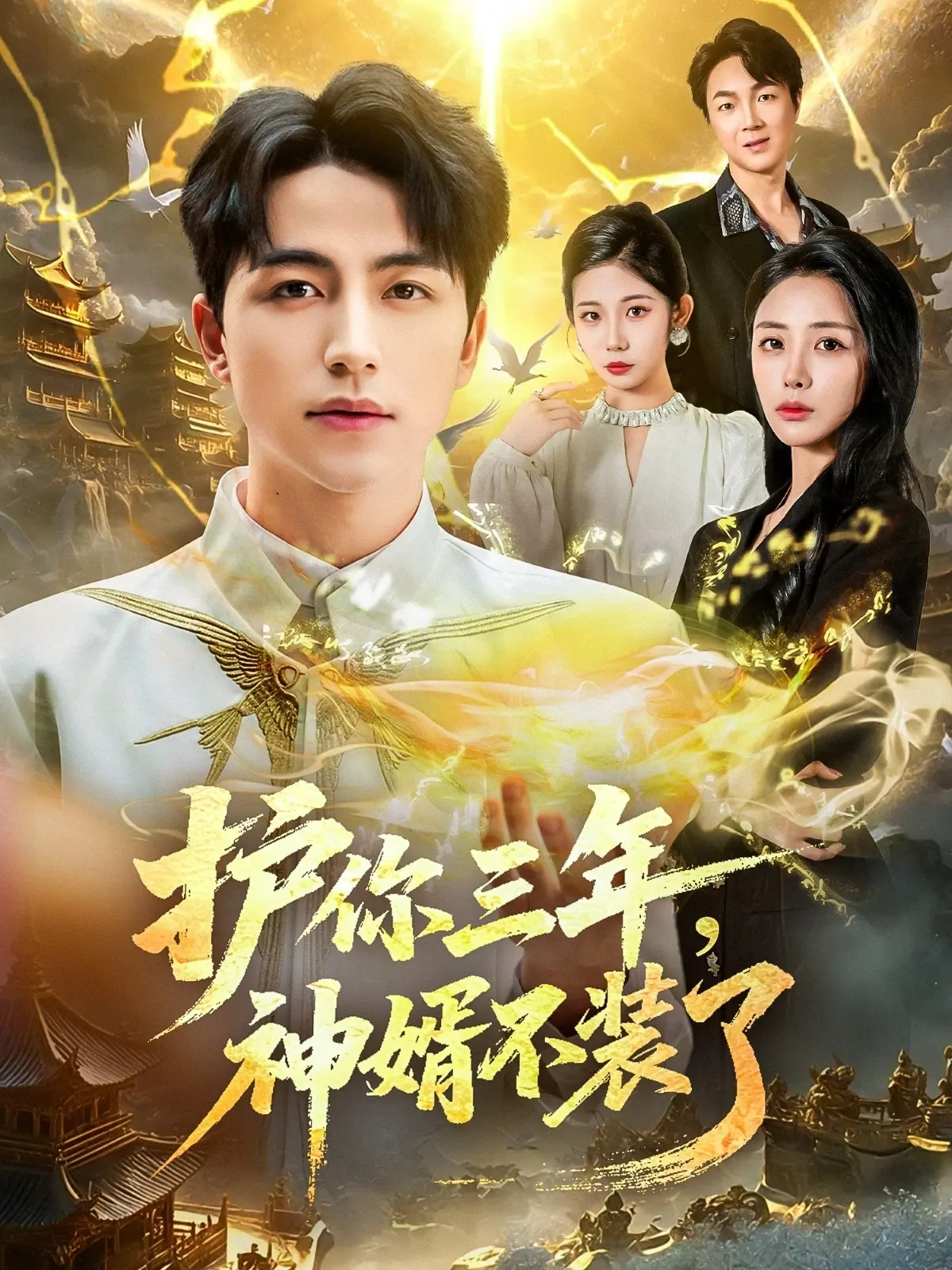 《护你三年，神婿不装了》-资源截图