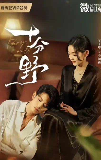 《十分野》-资源截图