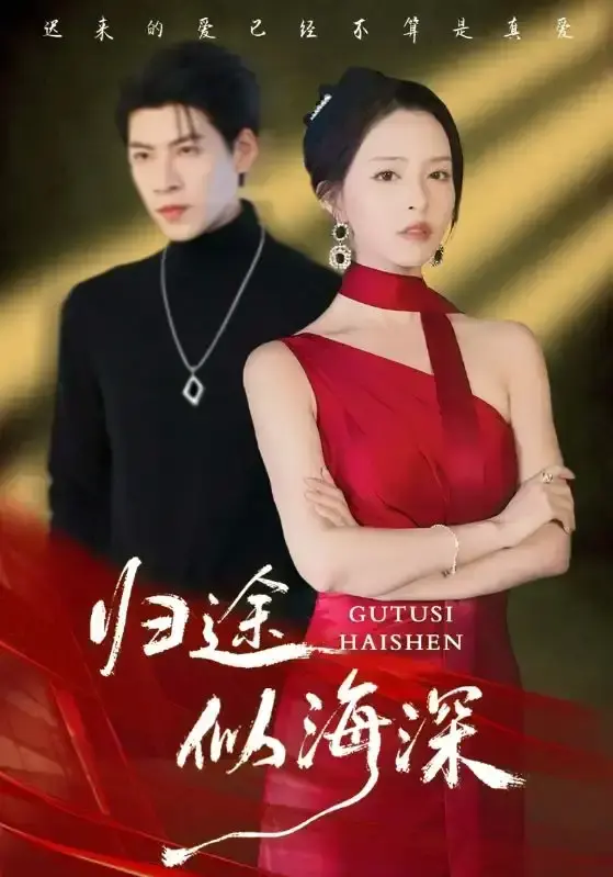 《归途似海深》-资源截图