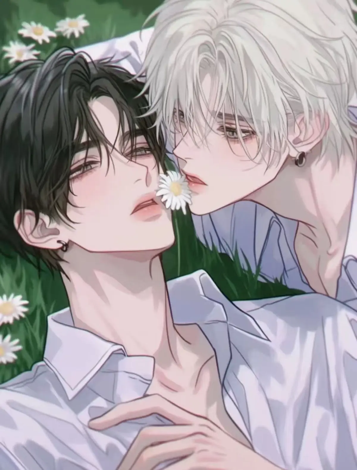 SEO关键词提取-资源截图