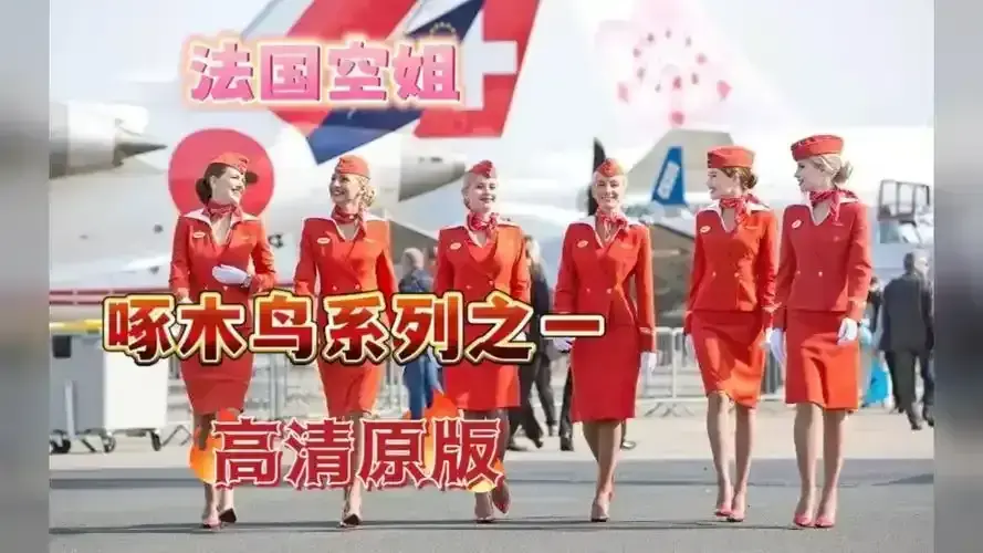 《法国空姐》-资源截图