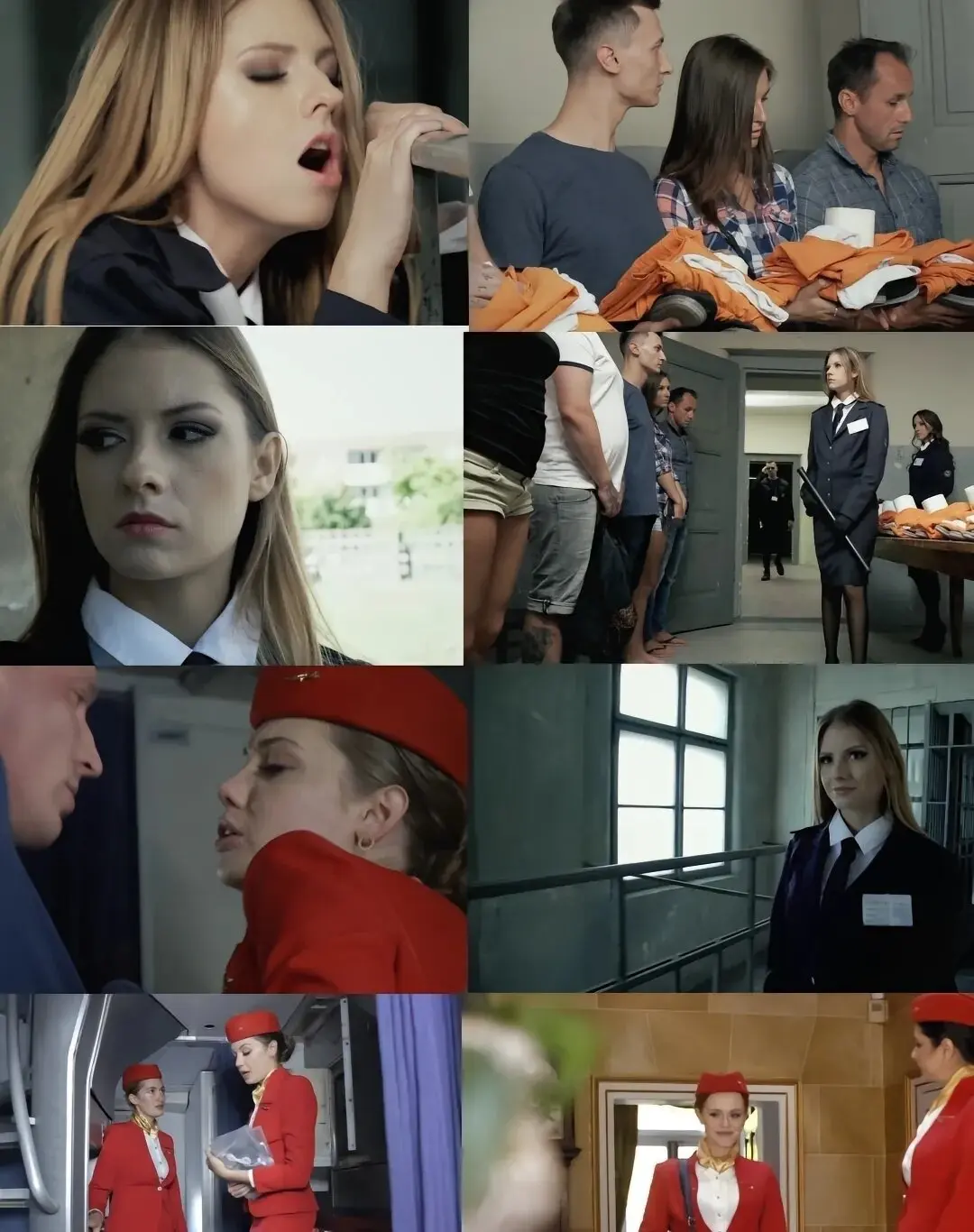 《啄木鸟系列》-资源截图