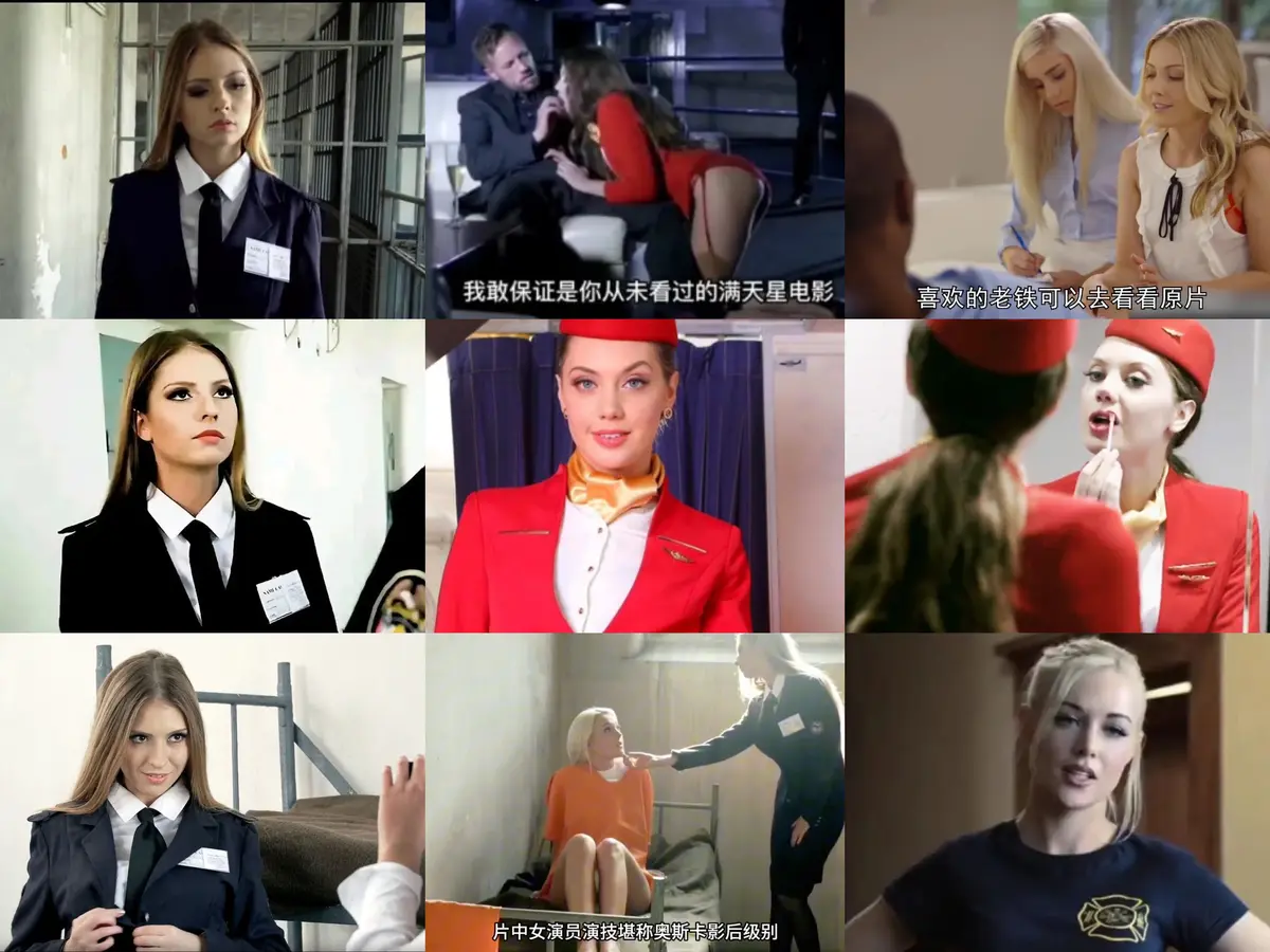 《啄木鸟系列合集》-资源截图